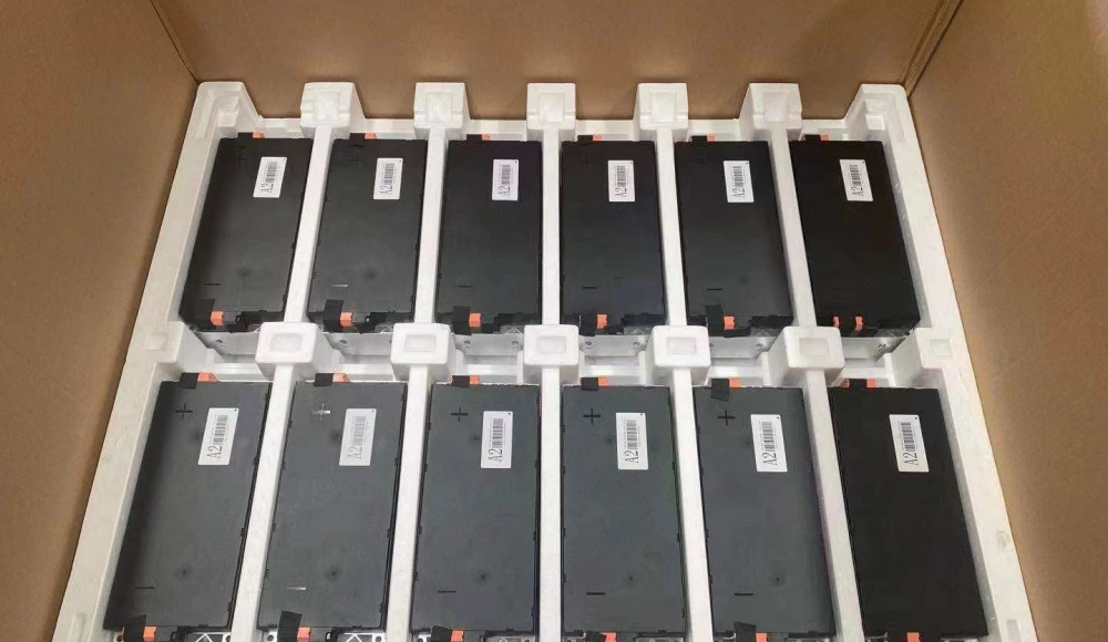 Calt-12S1P-5